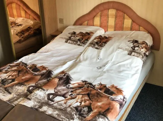 Stawy Zielona Dolina אתר קמפינג